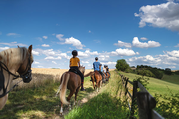 People horseback riding outdoors