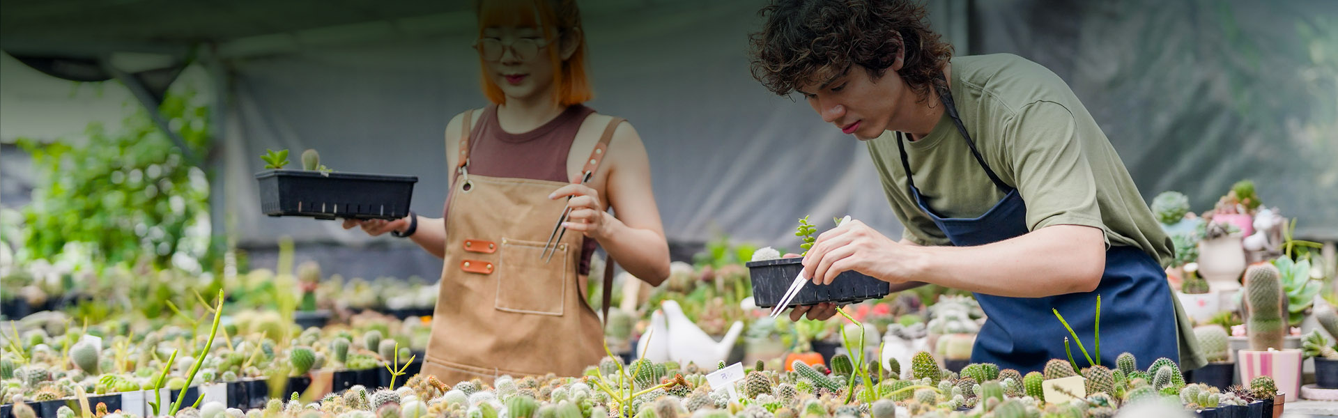 Two people potting plants together in an outdoor nursery