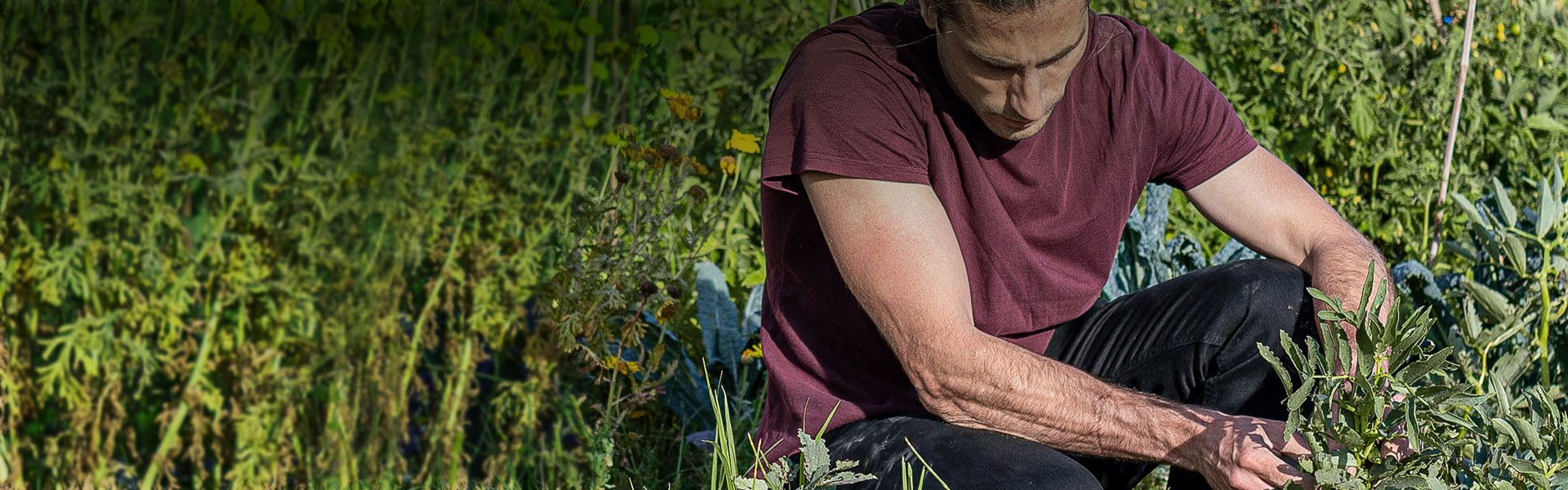 Person kneeling and working in a green field
